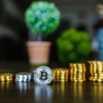 Crypto Portfolio Ideas Suitable for Beginners