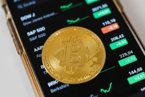 Bitcoin as a Portfolio Asset