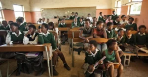 Why Financial Literacy is the Missing Link in South Africa's Development Goals